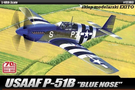 12303_p-51b.jpg