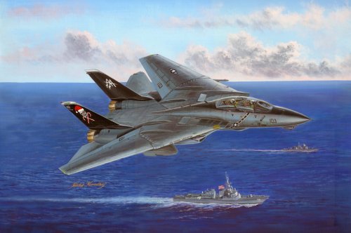 Przejdź do produktu HOBBY BOSS 80367 - 1:48 F-14B Tomcat