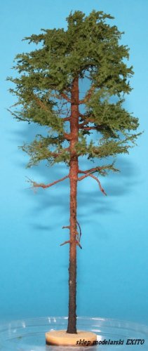 Przejdź do produktu FREON SOD0 - Sosna - wysokość 24-30 cm