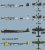 ktbuub9a1x_large.jpg