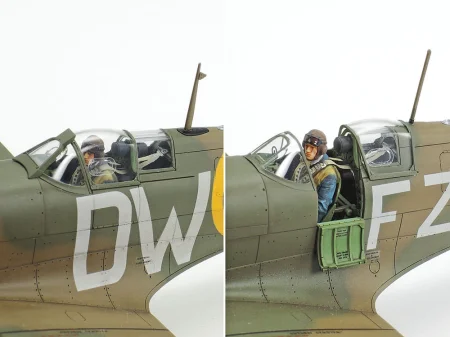 d5.jpg