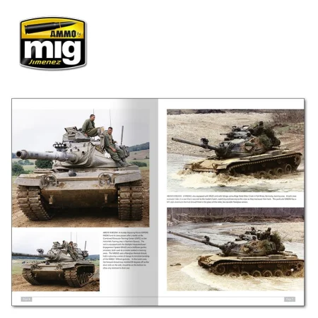 AMIG5953_01.jpg
