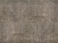 56691.jpg