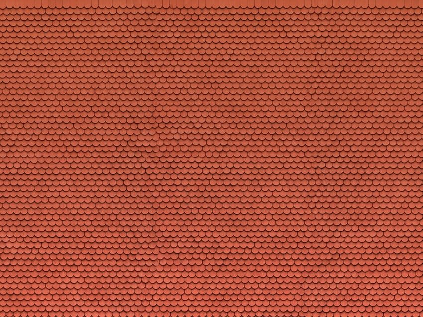56690.jpg
