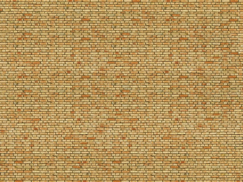 56613.jpg