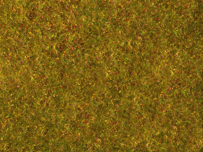 07290.jpg