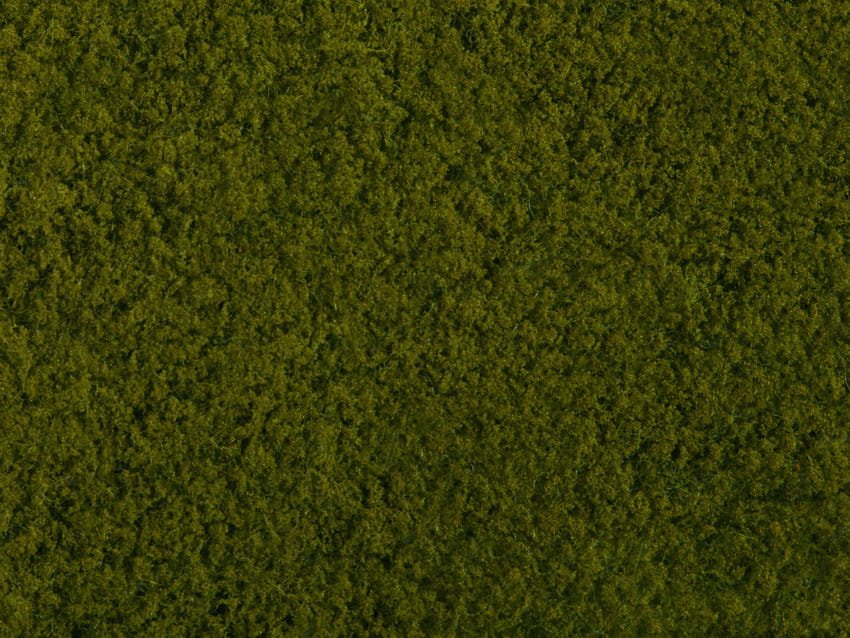 07270.jpg