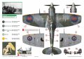 exito_decals-3_str2.jpg