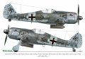 exito_decals-4_str5.jpg