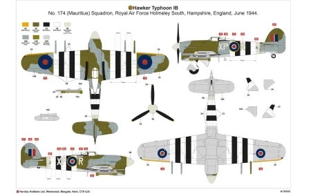 a19003-layout-d.jpg