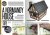 AK6305-AKTION-Magazine-ISSUE-032.jpg