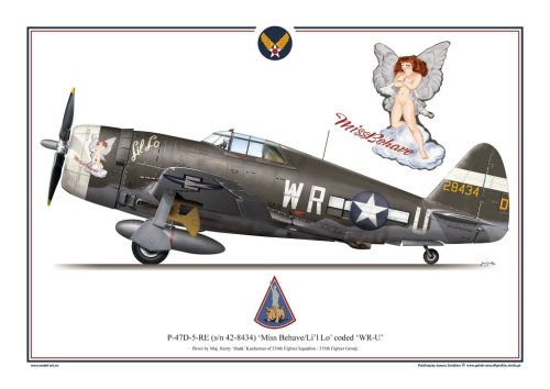 Przejdź do produktu Exito 003 - Plakat P-47 D Thunderbolt - Miss Behave Li l Lo