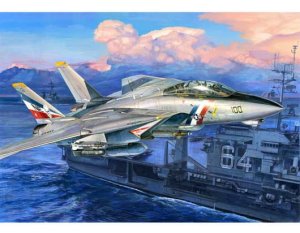 TRUMPETER 03203 - 1:32  F-14D Super Tomcat