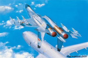 HOBBY BOSS 81715 - 1:48 PLA J-11B