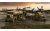 usaaf-scene-low-2.jpg