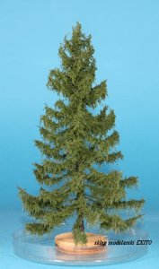 FREON MPN2 - Modrzew Europejski - Pień niski - wysokość 14-16 cm