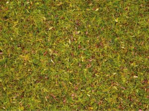 NOCH 08155 - Scatter Grass Flowers - Posypka 120 g ( trawa 2,5 mm )