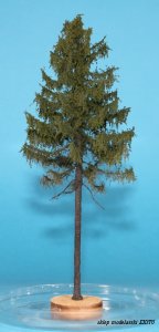 FREON MPW1 - Modrzew Europejski - Pień wysoki - wysokość 18-20 cm