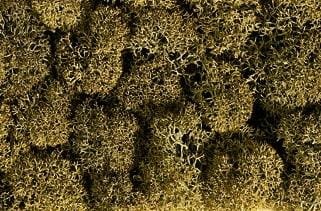 Przejdź do produktu NOCH 08600 - Lichen - Stone Gray - Porosty/ mchy/ krzewy 35 g