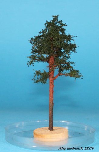 Przejdź do produktu FREON SOM3 - Sosna młoda - wysokość 8-12 cm