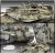 Kopia (2) 13286_MERKAVA_Mk_IID_main02_730.jpg