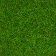 NOCH 08214 - Scatter Grass Ornamental Lawn - Posypka 20 g