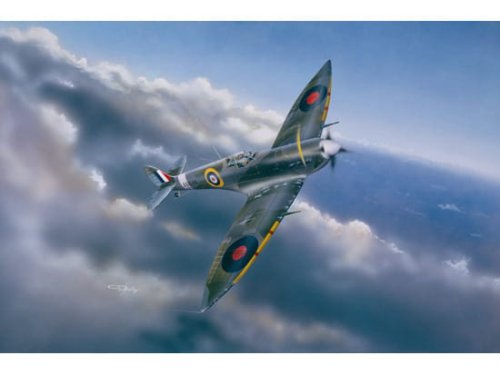 Przejdź do produktu TRUMPETER 02413 - 1:24 Spitfire Mk.VI
