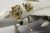49520_white_03.JPG
