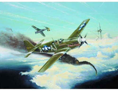 Przejdź do produktu TRUMPETER 02274 - 1:32 P-51 B Mustang
