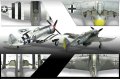 Kopia (3) 12513_fw190a8_p47d_730.jpg