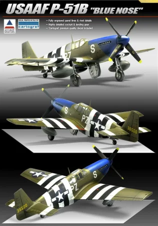 12303_p-51b - Kopia (2).jpg