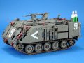 LF1333-3.jpg