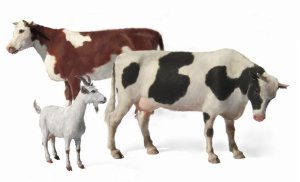 MASTER BOX 3566 - 1:35 Domestic Animals