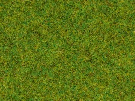 08150 1.jpg