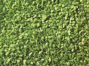 NOCH 07152 - Leaves Light Green - Posypka liście jasna zieleń 100 g