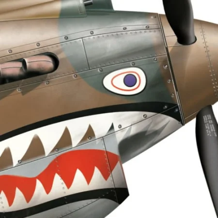hawk-81_avg_detail-2.jpg