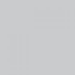 Przejdź do produktu PACTRA A44 - Farba akrylowa FS 36495 Light Gray