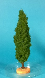 FREON TOP2 - Topola - wysokość 14-16 cm