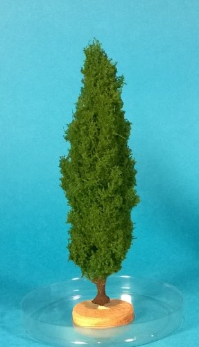 Przejdź do produktu FREON TOP2 - Topola - wysokość 14-16 cm