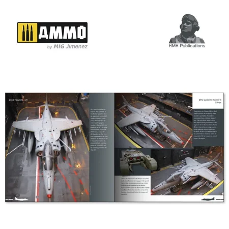 DH-011 (5).jpg