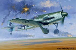 HOBBY BOSS 81719 - 1:48 Focke-Wulf FW190D-12