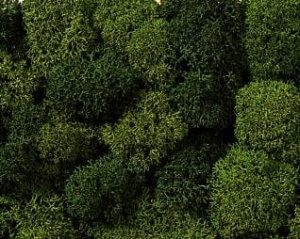 NOCH 08610 - Lichen - Green Mix - Porosty/ mchy/ krzewy 35 g