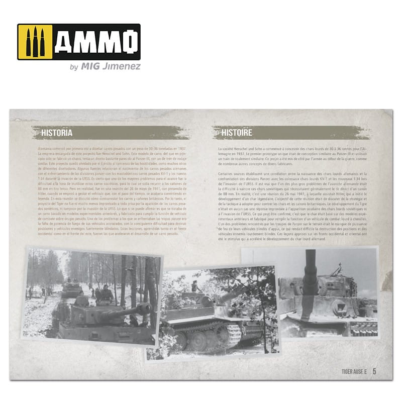 tiger-ausfe-visual-modelers-guide-multilingual1.jpg