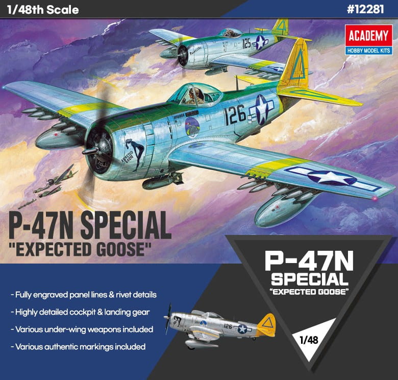 Academy-12281-P-47N (2).jpg