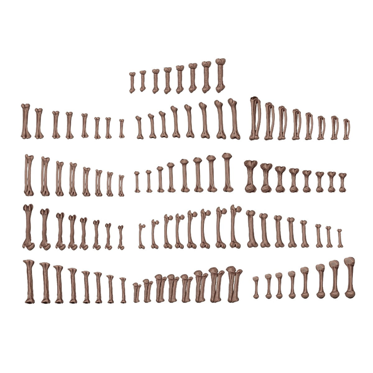 AKBIT013_02.jpg