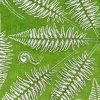 fern.jpg