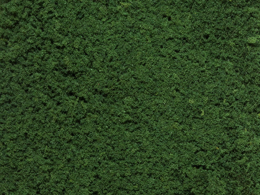 07266 1.jpg