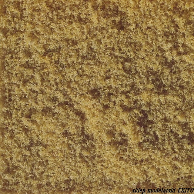 07225 2.jpg