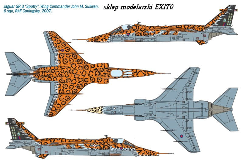 1357_profili_didaLR.jpg